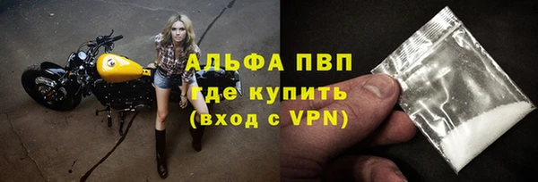 ALPHA-PVP Новозыбков