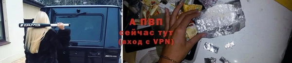 ALPHA-PVP Новозыбков