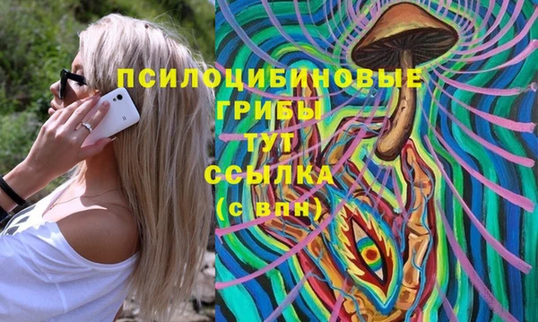 mdma Новодвинск