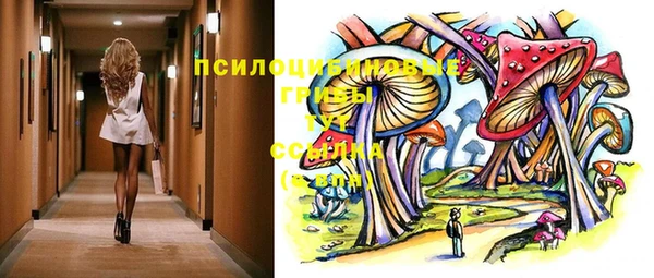 mdma Новодвинск