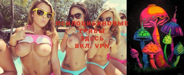 mdma Новодвинск