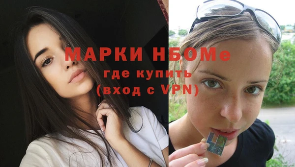 ALPHA-PVP Новозыбков