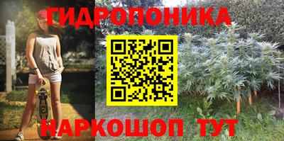 бошки Бийск