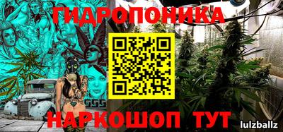 бошки Бийск