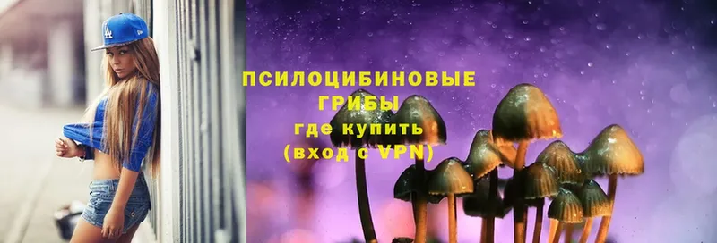 что такое наркотик  Сертолово  Галлюциногенные грибы MAGIC MUSHROOMS 