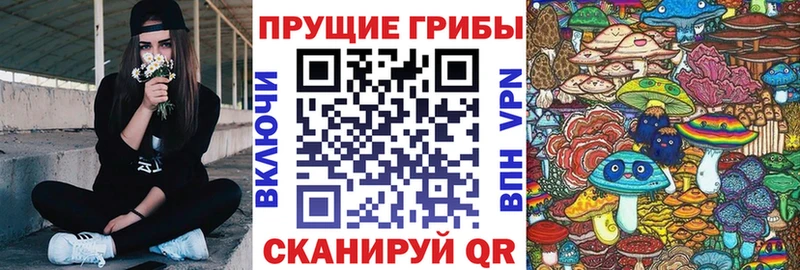 Галлюциногенные грибы прущие грибы  цена наркотик  Сертолово 