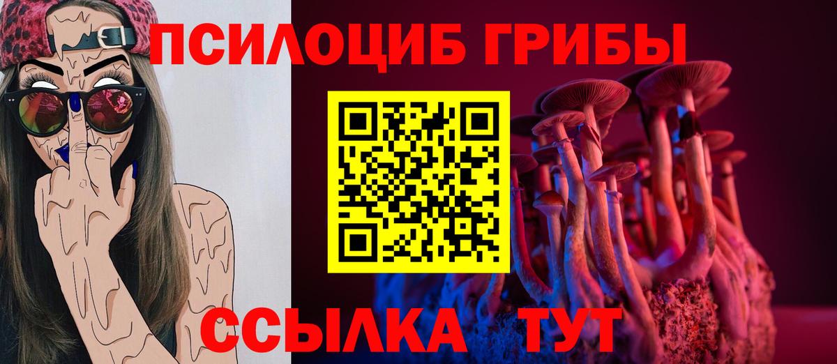 Галлюциногенные грибы мицелий Сертолово