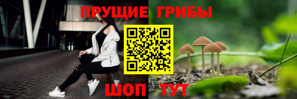 Галлюциногенные грибы мицелий  Псилоцибиновые грибы Psilocybe  Сертолово  Вход с VPN 